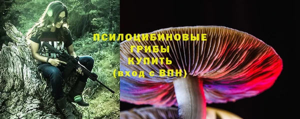 Альфа ПВП Балахна